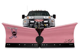 FISHER® XV2™ V-Plow Snowplow