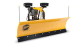 FISHER® SD Straight Blade Snowplow